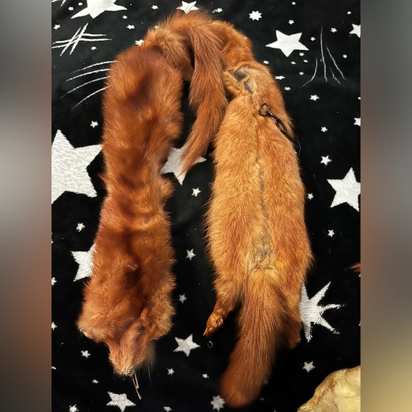 Mink stole collar - Picture 1 of 2